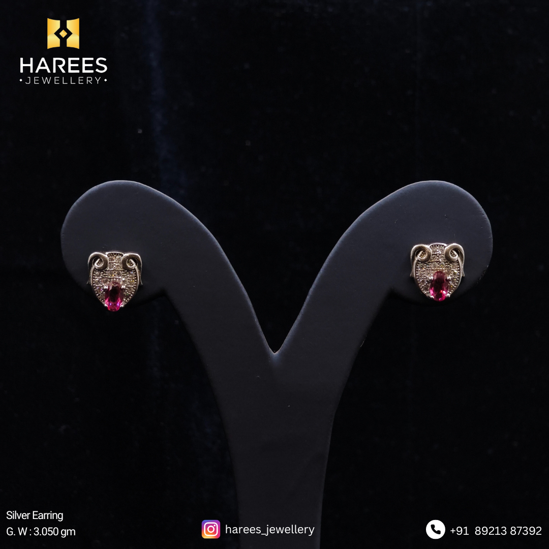 Silver Earrings for Women